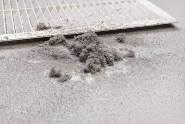 Best HVAC Air Duct Cleaning  in Cortland, IL