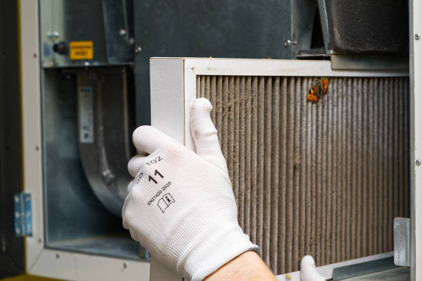 Best HVAC Maintenance and Cleaning  in Cortland, IL