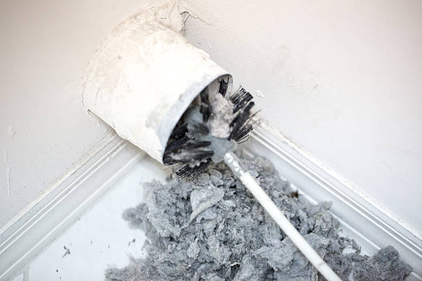 Best Air Duct Cleaning Company Near Me  in Cortland, IL