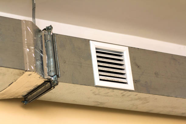 Best Air Duct Mold Removal  in Cortland, IL